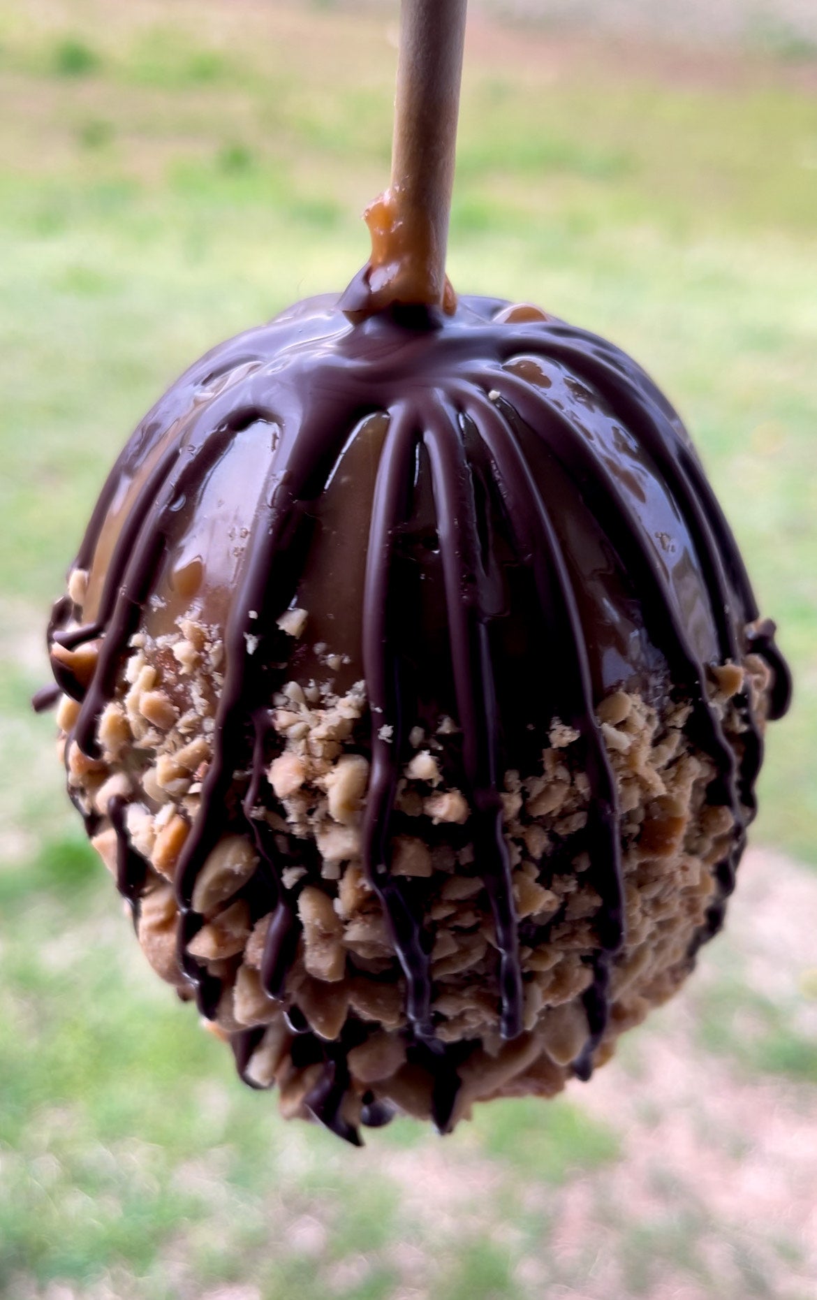Choco-Nut Delight